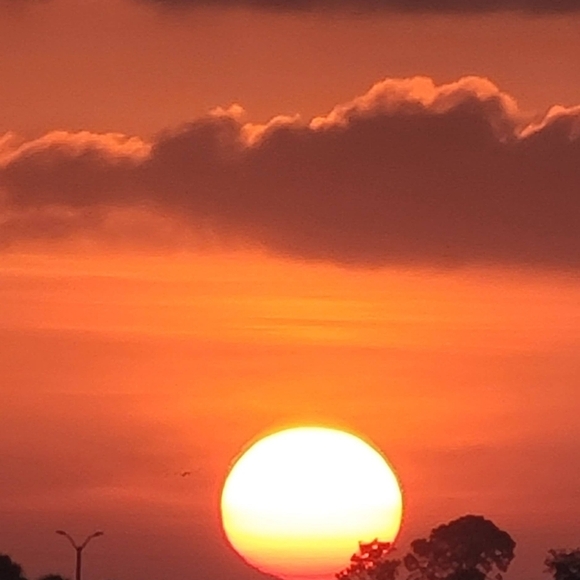 Join My Live Posh Show!  Budget to Luxury Brands New & Preloved goods - Picture 8 of 12